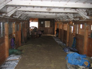 Interior Milking Shed